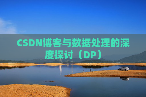 CSDN博客与数据处理的深度探讨（DP）